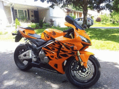 Cbr 600 RR Turuncu Grenaj Seti 2005-2006