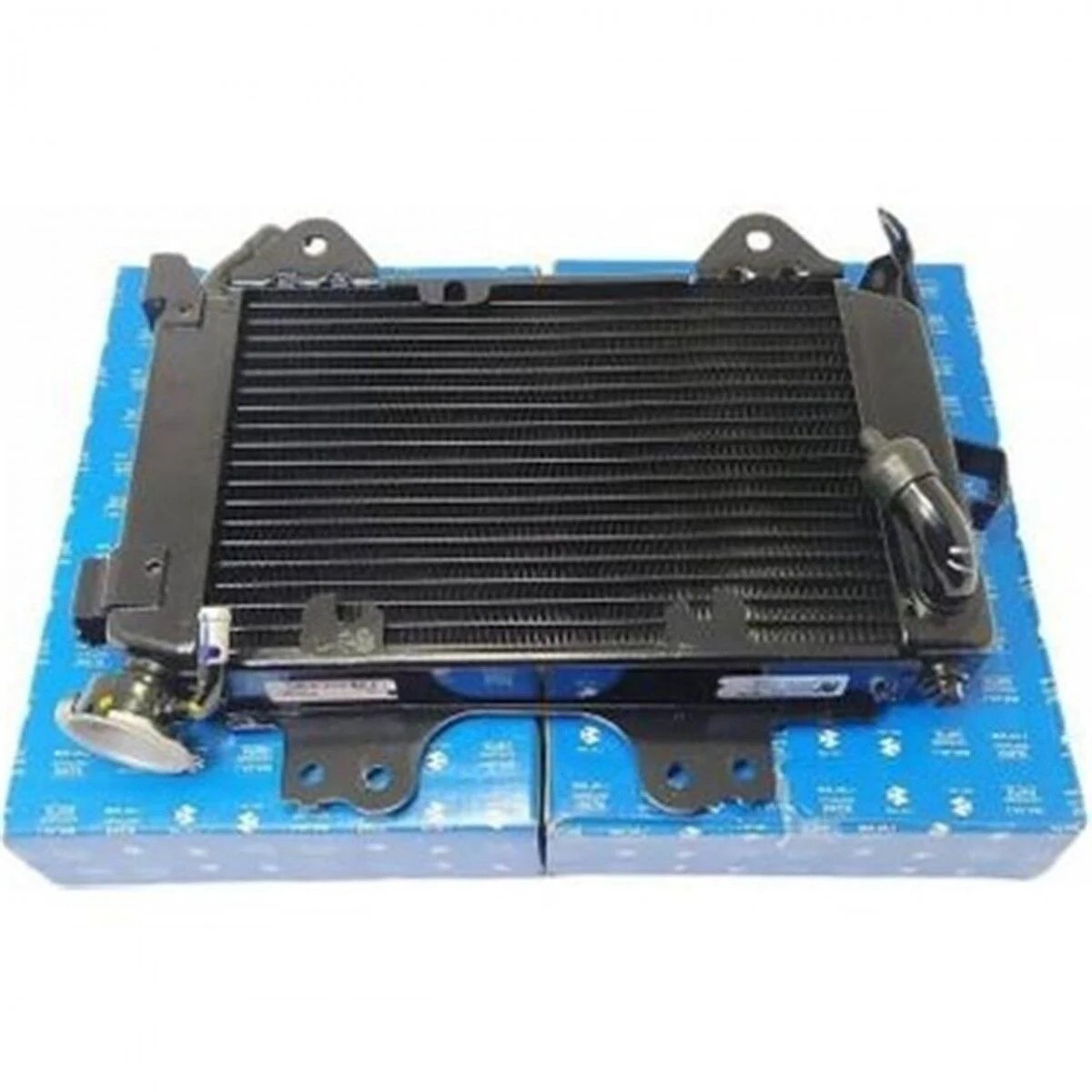 Pulsar Rs 200 Orjinal Radyator