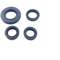 Cygnus Rs 125 Motor Keçe Seti Moto11