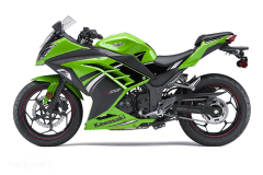 Ninja 300 R Yeşil Grenaj Seti