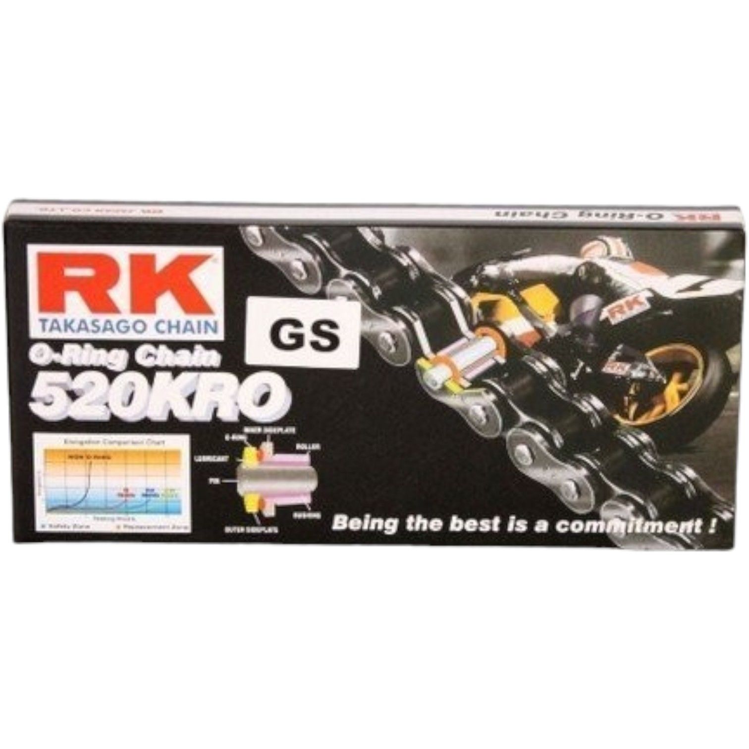 Gw 250 inazuma RK Oringli Zincir Moto11