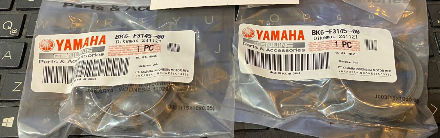 Yamaha R 25 2019-2023 Yeni Kasa Ön Amortisör Keçesi Orjinal Moto11