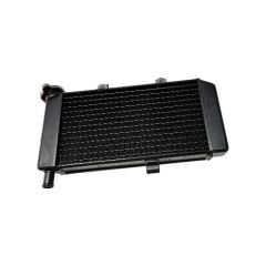 Nk 250 Radyatör Cf Moto