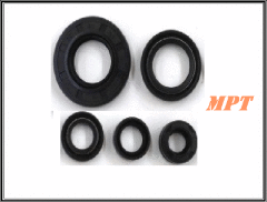 Mct 250 Motor Keçe Takımı Moto11