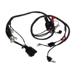 Blueberry 50 cc Elektrik Teşisatı
