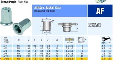 Altıköşe Şapkalı Flanş Kafa Çelik Somun Perçin M10 metrik 10 - 500 adet