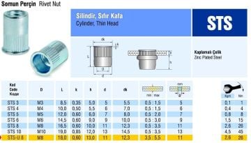Silindir Sıfır Kafa Çelik Somun Perçin M3 metrik 3 - 500 adet