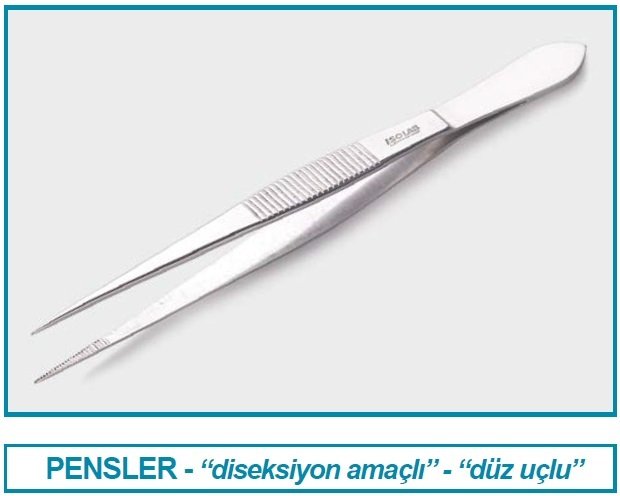 İSOLAB 048.07.160 pens - diseksiyon - sivri/düz - 160 mm (1 adet)