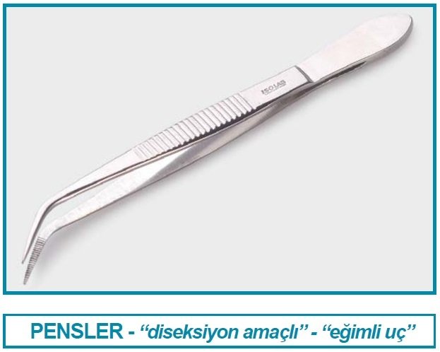 İSOLAB 048.08.115 pens - diseksiyon - sivri/kıvrık - 115 mm (1 adet)