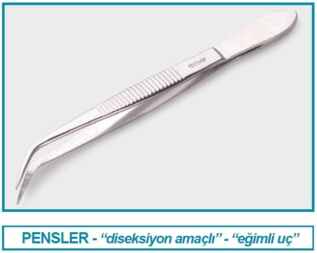 İSOLAB 048.08.130 pens - diseksiyon - sivri/kıvrık - 130 mm (1 adet)