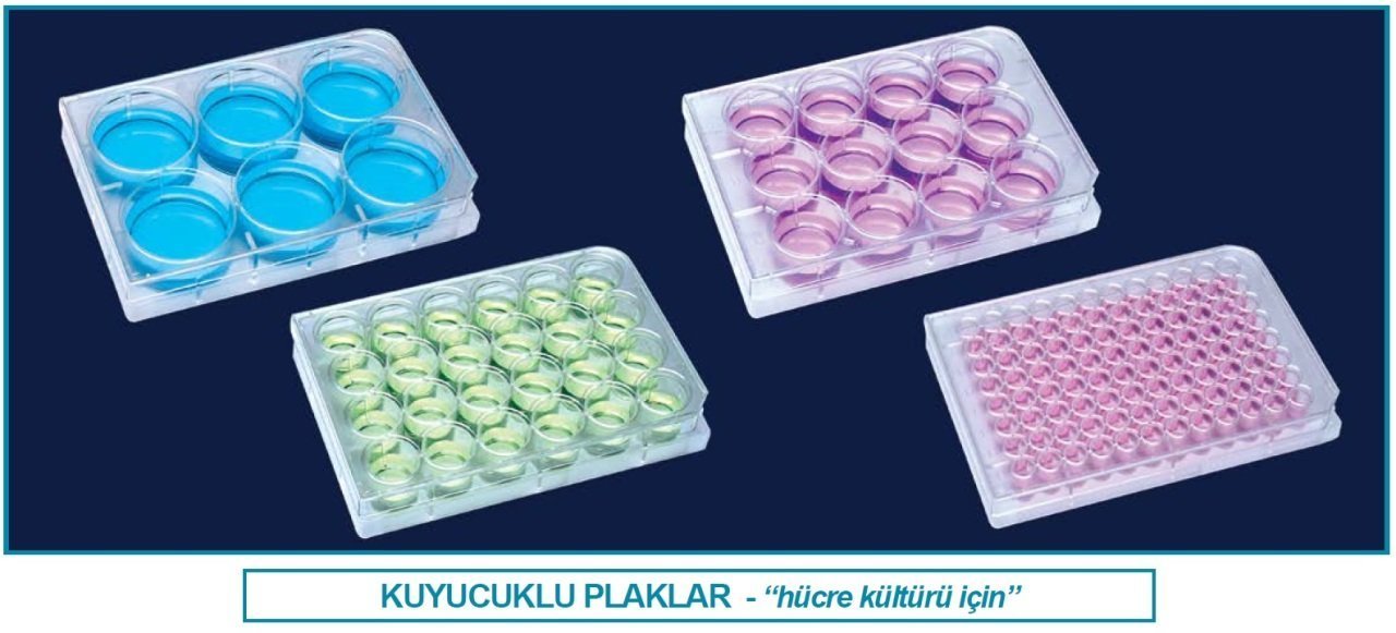 İSOLAB 122.11.006 plak - hücre kültürü - düz kuyulu 3 ml (100 adet)