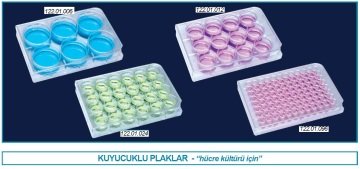 İSOLAB 122.11.012 plak - hücre kültürü - düz kuyulu 2 ml (100 adet)