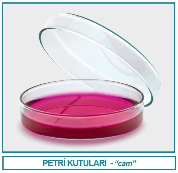 İSOLAB 081.01.120 petri kutusu - cam - 120 x 20 mm (18 adet)