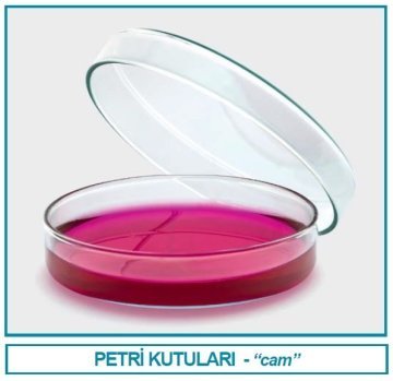 İSOLAB 081.01.120 petri kutusu - cam - 120 x 20 mm (18 adet)