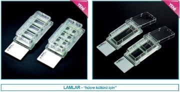 İSOLAB 126.01.021 lamlar - hücre kültürü için - 2 kuyulu (12 adet)