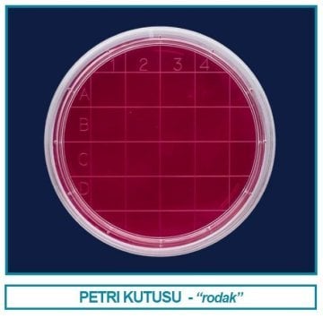 İSOLAB 081.04.060 petri kutusu rodak - 60 mm - steril A (500 adet)
