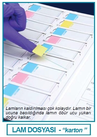 İSOLAB 076.01.001Y lam dosyası - karton - sarı (1 adet)