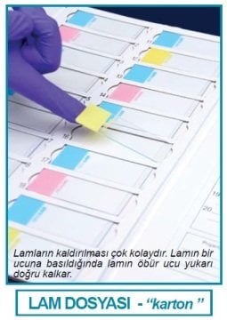 İSOLAB 076.01.001G lam dosyası - karton - yeşil (1 adet)