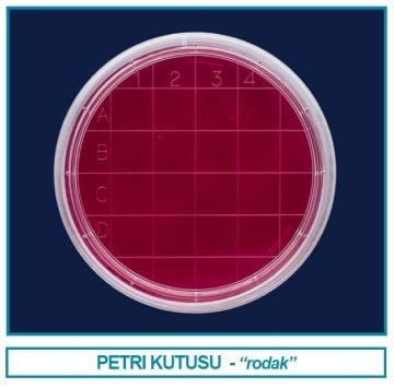 İSOLAB 081.04.060 petri kutusu rodak - 60 mm - steril A (500 adet)