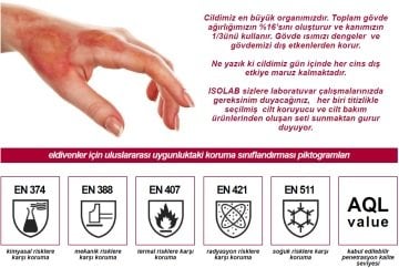 İSOLAB 080.23.007 eldiven - neopren - kimyasal koruma - small (1 çift)