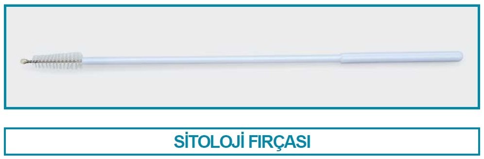 İSOLAB 086.05.001 fırça - sitolojik - smear (100 adet)