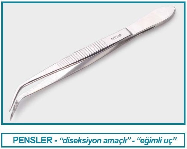 İSOLAB 048.08.130 pens - diseksiyon - sivri/kıvrık - 130 mm (1 adet)