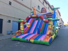 Şişme Kaydırak Hayvanlar Alemi 6x4x5m