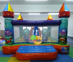 Neşeli Okyanus Pvc Şişme Park 4x5x2.5m