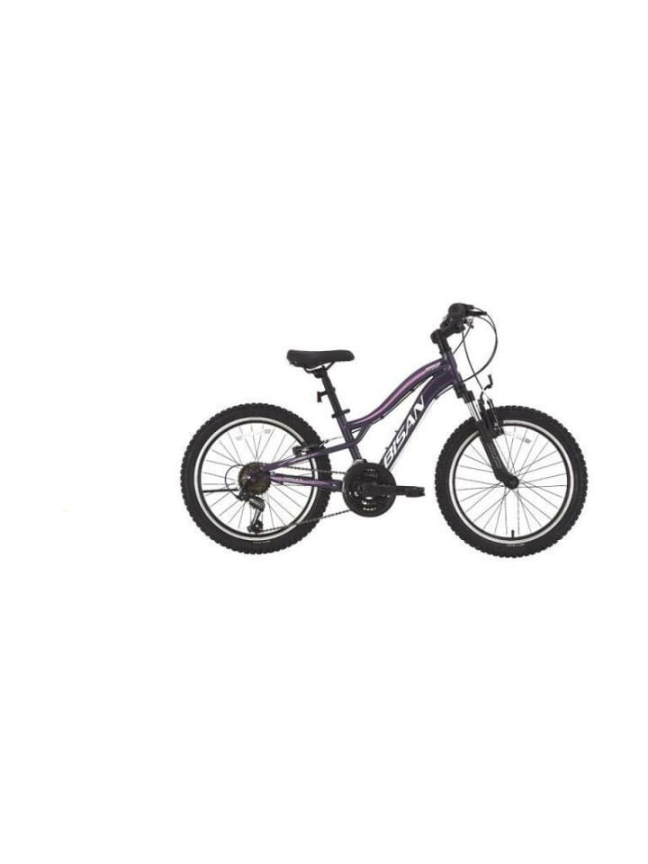 BİSAN GAZELLE 24 JANT 18 VİTES DAĞ BİSİKLETİ 12130₺