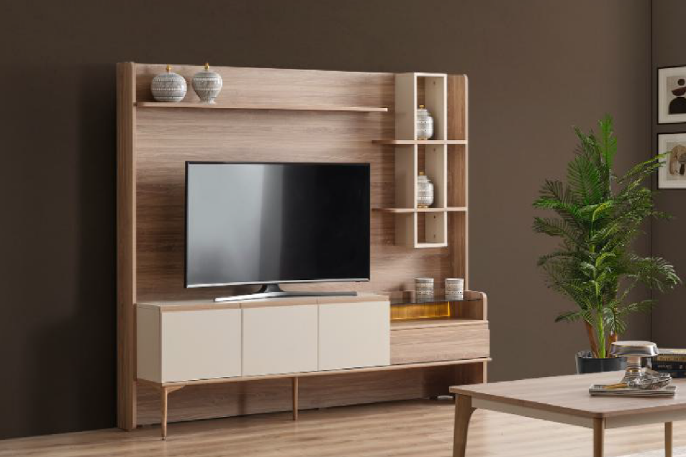 BİEN TV ÜNİTESİ