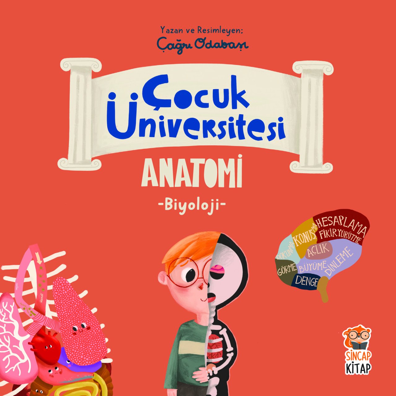 Çocuk Üniversitesi Biyoloji - Anatomi