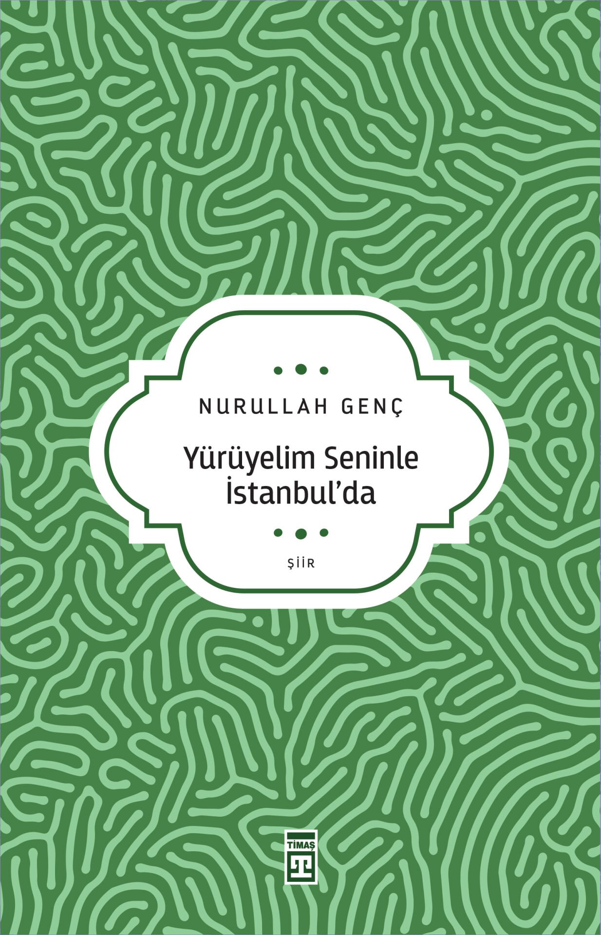 Yürüyelim Seninle İstanbulda