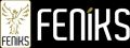 Feniks Yayınları