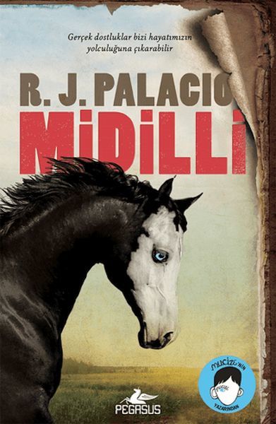 Midilli R. J. PALACİO