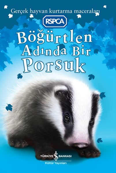Böğürtlen Adında Bir Porsuk SARAH HAWKINS