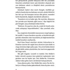 Martıya Uçmayı Öğreten Kedi LUIS SEPULVEDA