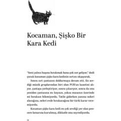 Martıya Uçmayı Öğreten Kedi LUIS SEPULVEDA