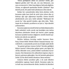 Martıya Uçmayı Öğreten Kedi LUIS SEPULVEDA