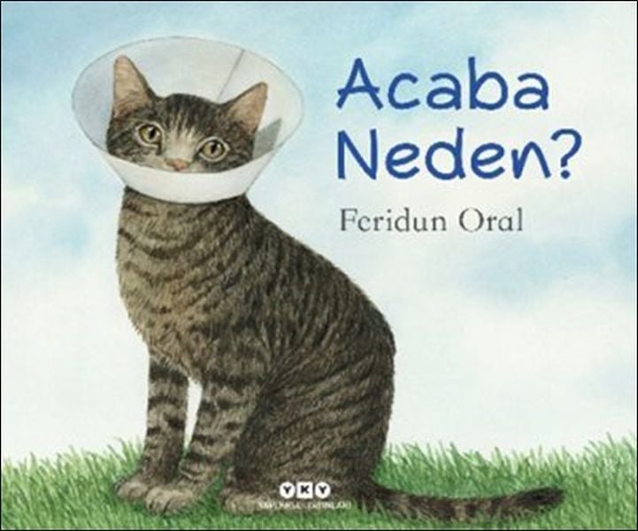 Acaba Neden FERİDUN ORAL