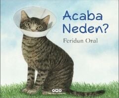 Acaba Neden FERİDUN ORAL