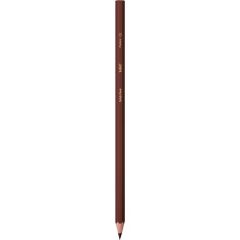 Bic Kids Evolution Kuru Boya Kalemi 36'lı Metal Tüp