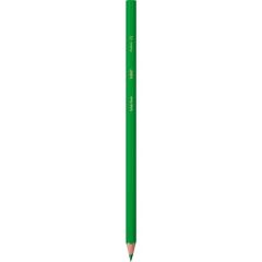 Bic Kids Evolution Kuru Boya Kalemi 36'lı Metal Tüp