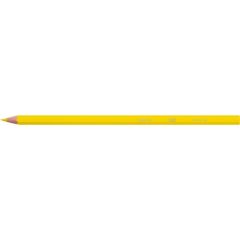Bic Kids Evolution Kuru Boya Kalemi 36'lı Metal Tüp
