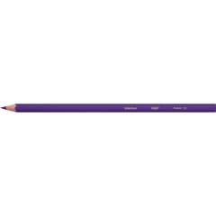 Bic Kids Evolution Kuru Boya Kalemi 36'lı Metal Tüp