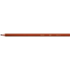 Bic Kids Evolution Kuru Boya Kalemi 36'lı Metal Tüp