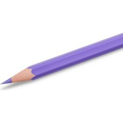 Bic Kids Tropicolors Kuru Boya Kalemi 12 Renk