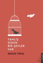 Yanlış Giden Bir Şeyler Var MESUD TOPAL
