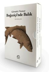 Boğaziçi'nde Balık İstanbul'da Kedi 2 Kitap Kutulu Set GÜNDÜZ VASSAF