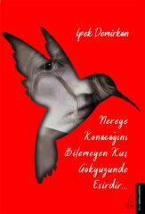 Nereye Konacağını Bilemeyen Kuş Gökyüzünde Esirdir İPEK DEMİRKAN