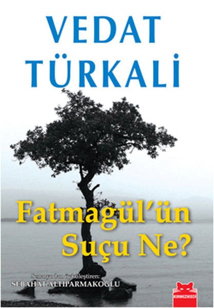 Fatmagül'ün Suçu Ne VEDAT TÜRKALİ
